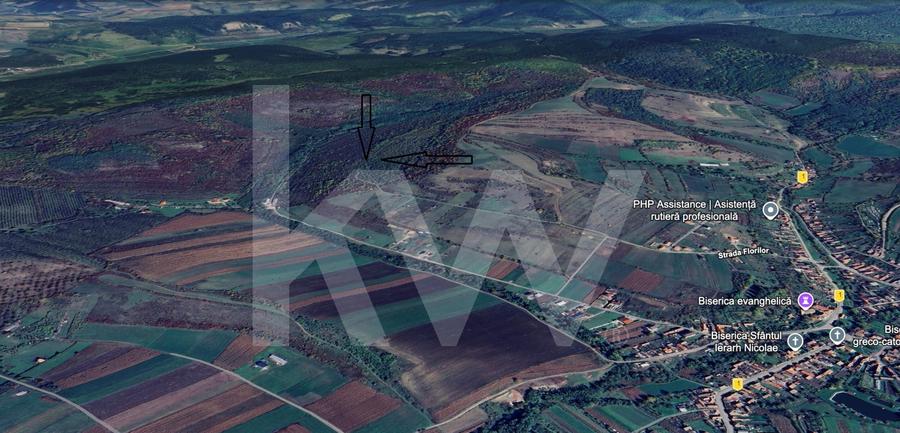 Teren agricol extravilan de 38400 mp, în Hamba