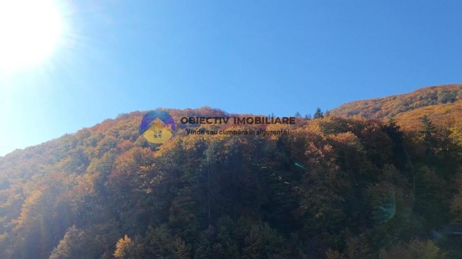 Teren intravilan de vânzare – Piatra Neamț - 12