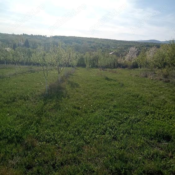 Teren de 7700 mp, în Dumbrăveni