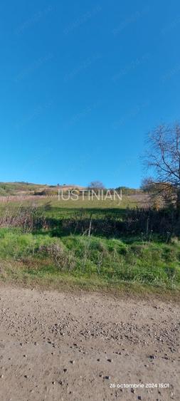 De vanzare teren intravilan Muntenii de Sus, la 8 km de centrul Vasluiului