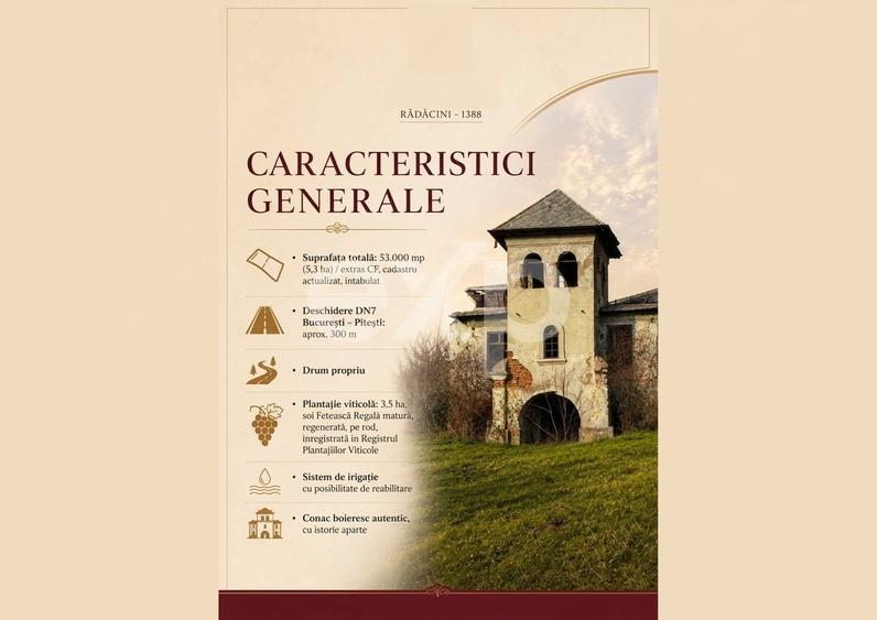 Teren agricol intravilan de 53560 mp, în Vrănești