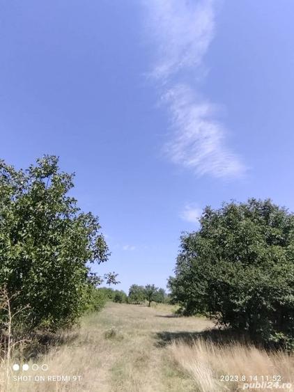 Teren de 3400 mp, în Daia