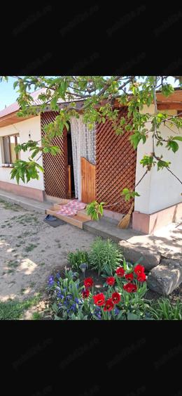 Casă cu 2 camere cu Teren 1200 Mp în Bătinești