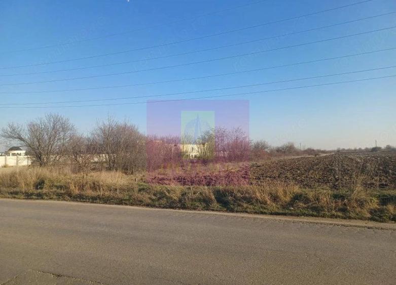 Teren de 8800 mp, în Săbăreni