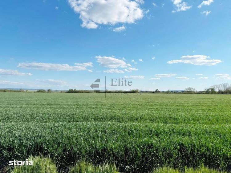 Teren extravilan 6450 mp in Osorhei acces din DN1 - 3