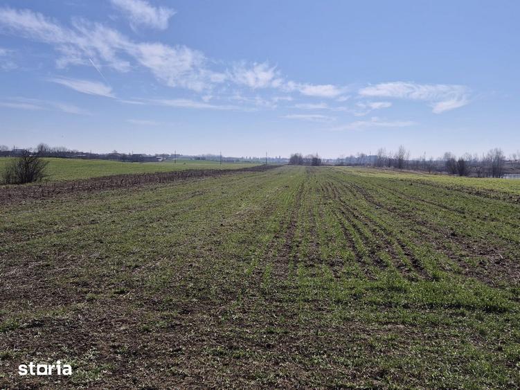 Trestieni - Ulmi, vanzare teren 1.663mp, intravilan - 6