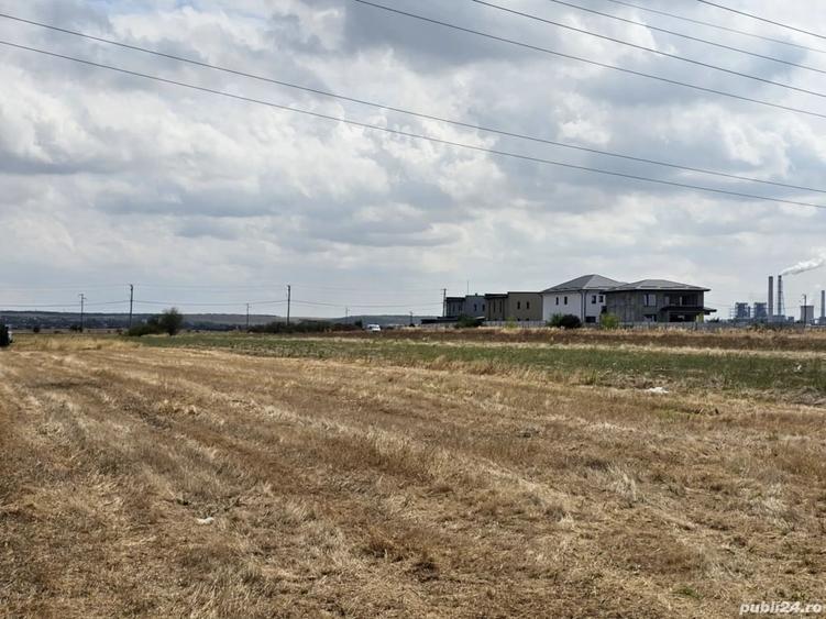 Teren de 8000 mp, în Șimnicu de Sus