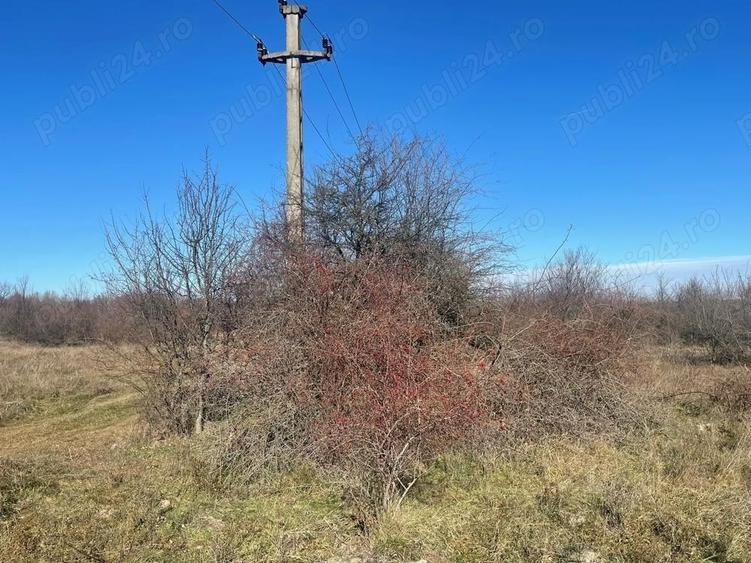 Teren de 5300 mp, în Merișani