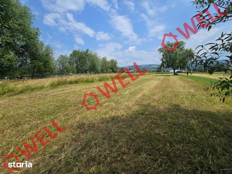 Teren de 2400 mp, în Barcani