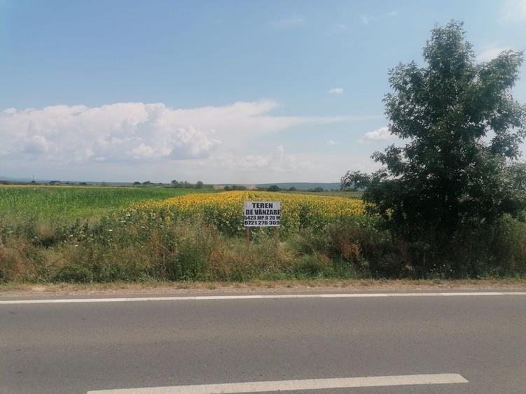 Spațiu comercial, în Comișani
