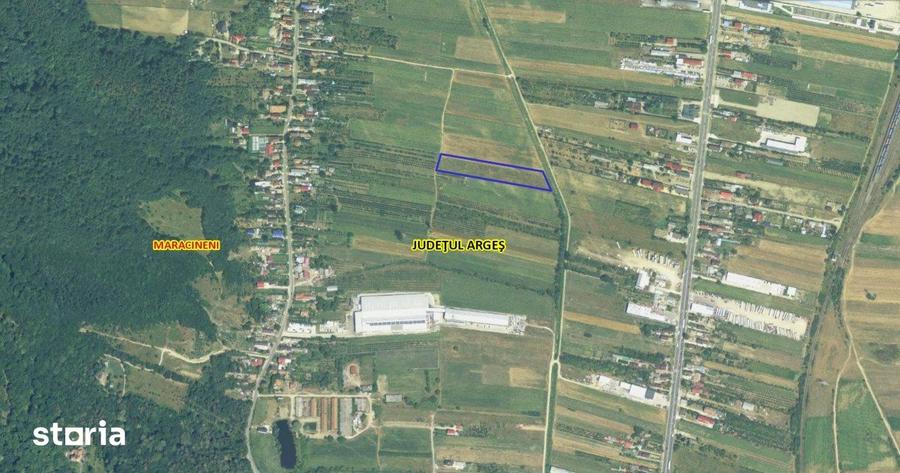 Teren de 7545 mp, în Mărăcineni