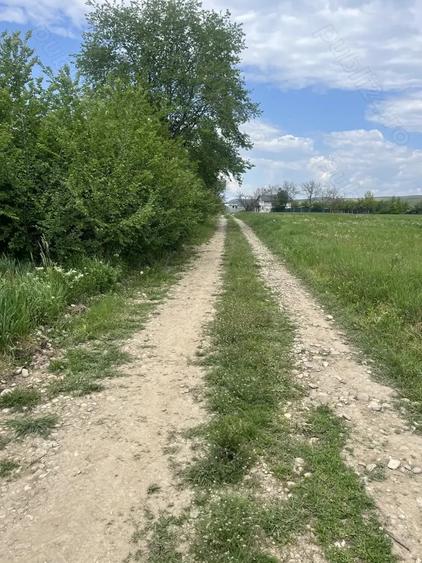 Teren de 1600 mp, în Dragomirești