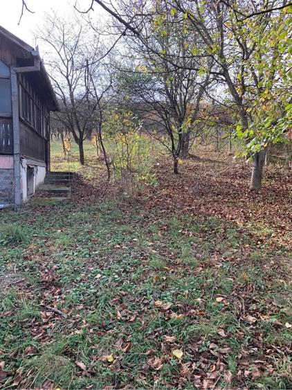 Teren de 4300 mp, în Vest