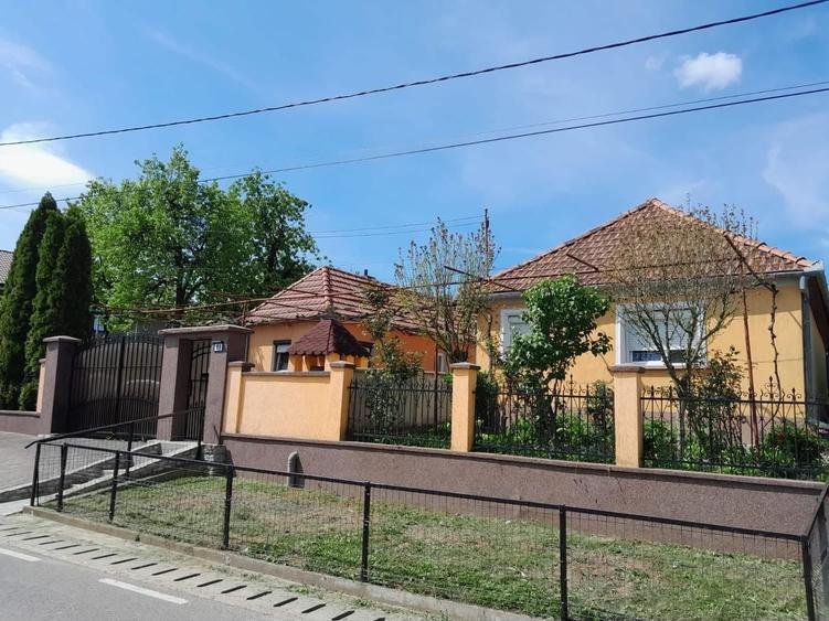 Casă cu 3 camere cu Teren 3300 Mp în Central