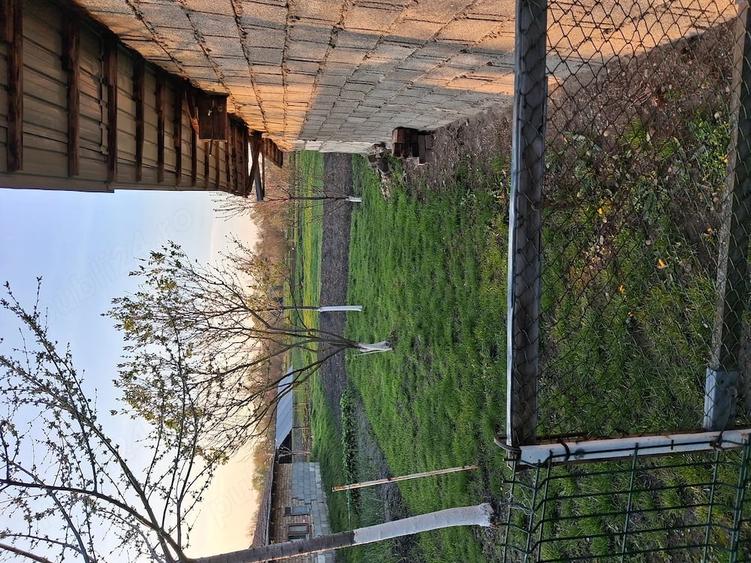 Casă cu Teren 2500 Mp în Otelec