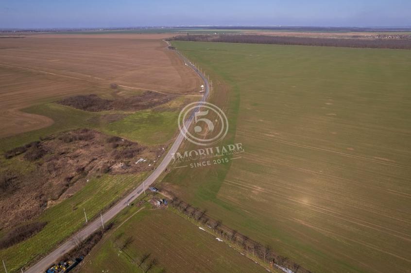 Teren Construcții intravilan de 80000 mp, în Frumușani