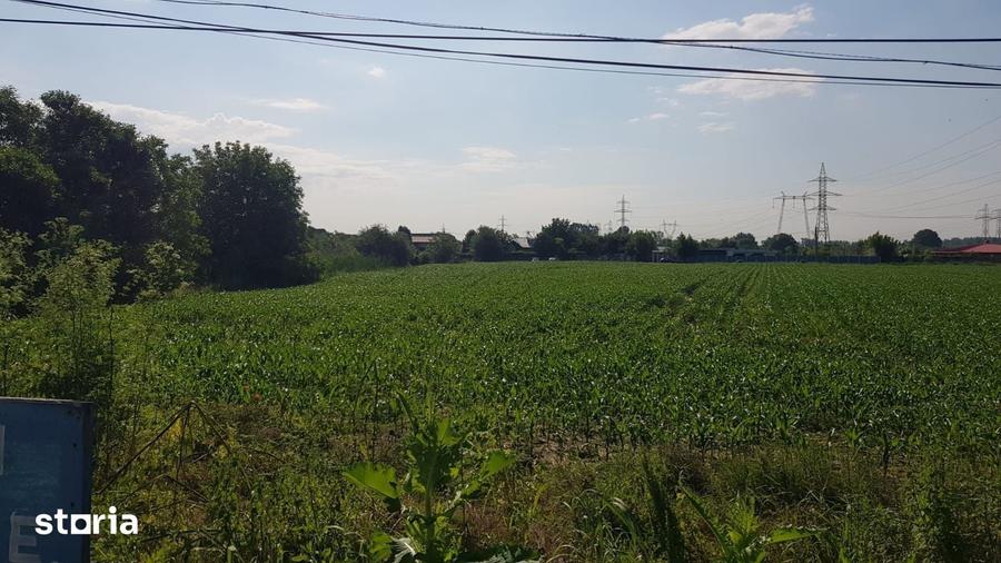Teren de 5000 mp, în Jilava