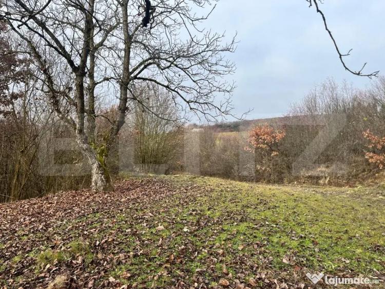 Teren extravilan, 4 hectare, langa livada de mere Ghinda - 3
