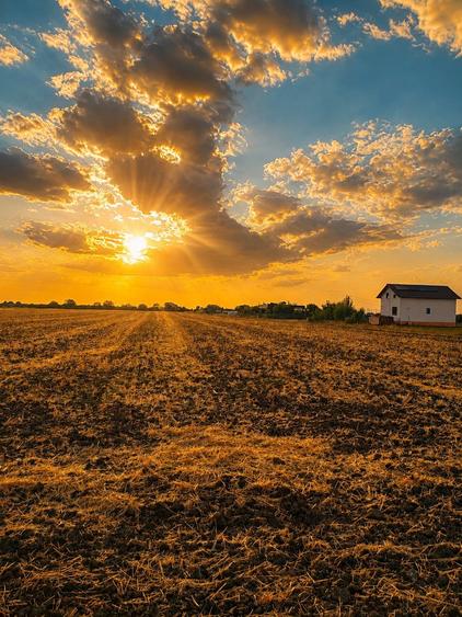 Teren agricol extravilan de 17738 mp, în Bujac