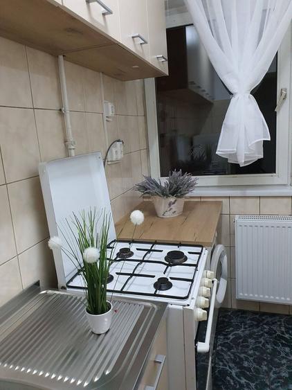 Apartament cu 2 camere, de inchiriat, Calea Girocului - 9