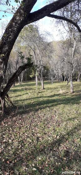 Teren de 5900 mp, în Vălișoara
