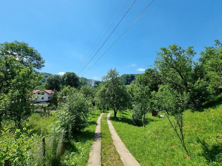Casă individuală cu 3 camere cu Teren 5000 Mp în Plaiu (Provița de Sus)