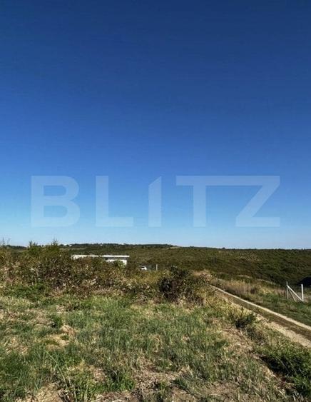 Teren Construcții intravilan de 2100 mp, în Podgoria