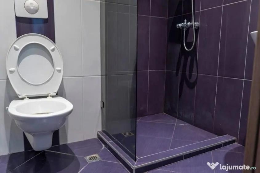 Apartament cu 2 camere de inchiriat in zona Unirii - 3