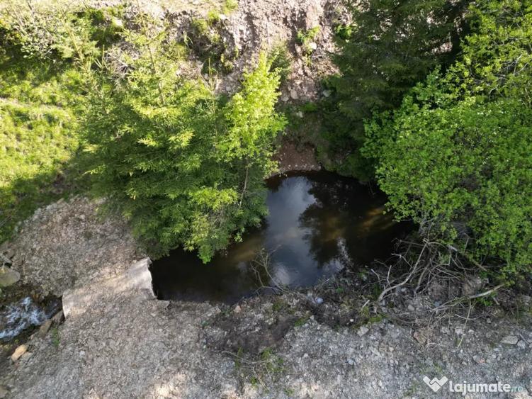 Vand teren intravilan in Bai?oara - 8
