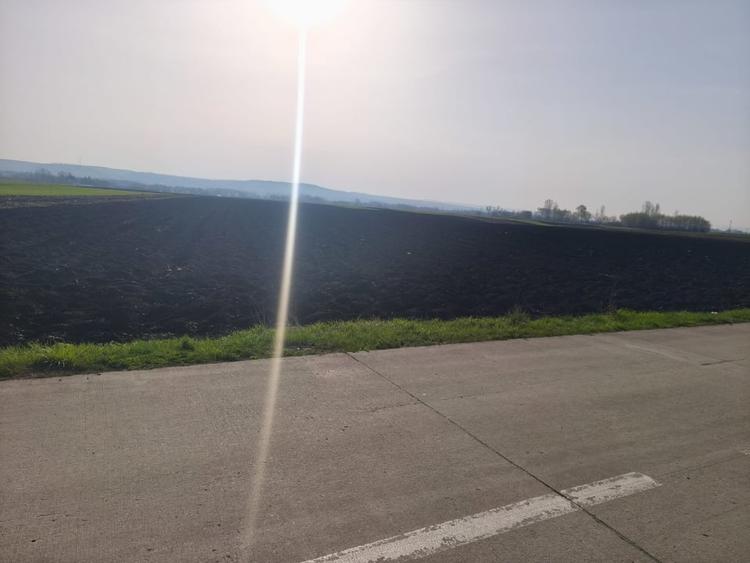 Teren agricol extravilan de 9300 mp, în Satu Mare