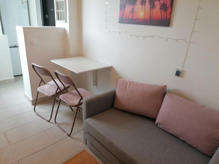 Pet friendly! Cismigiu, studio cochet, 475euro - 5