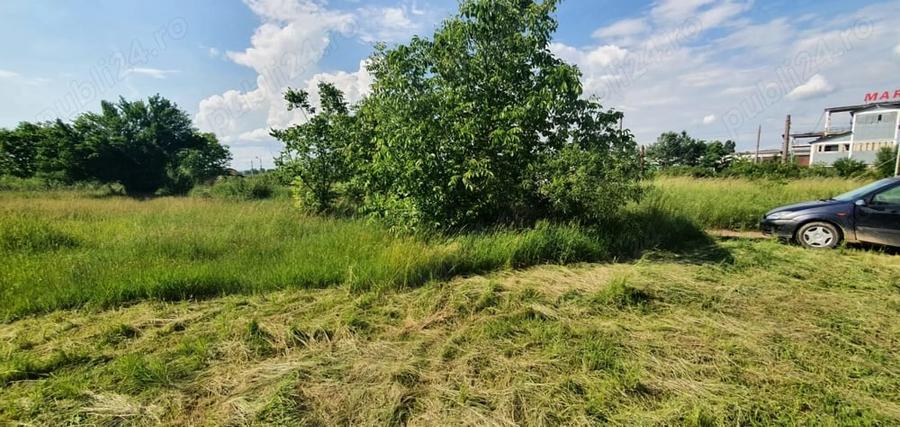 Teren de 3600 mp, în Central