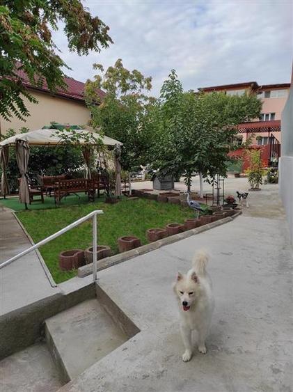 Casă individuală cu 9 camere cu Piscina în Dristor