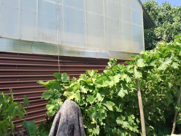 Casă cu 4 camere în Bordei