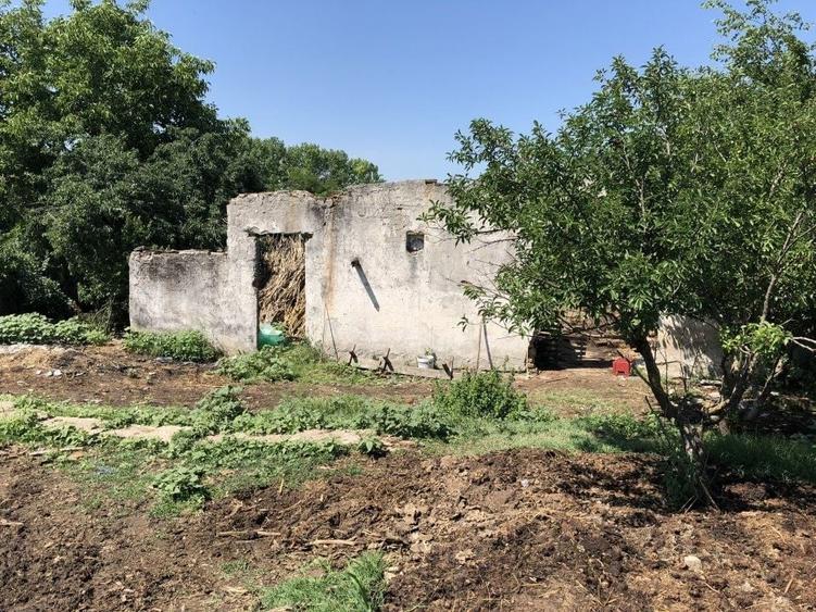 Teren agricol intravilan de 9795 mp, în Rădoiești
