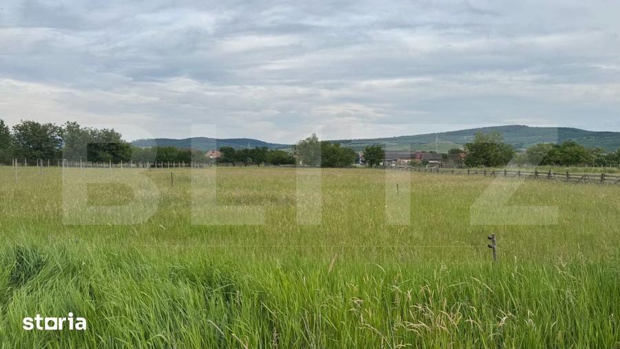 Doua parcele a cate 1100 mp de teren intravilan in Livezile - 1