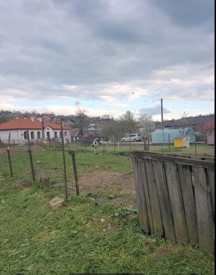 Spațiu comercial, în Malcoci