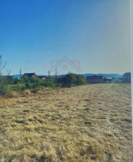 Teren Construcții intravilan de 4900 mp, în Nord-Vest