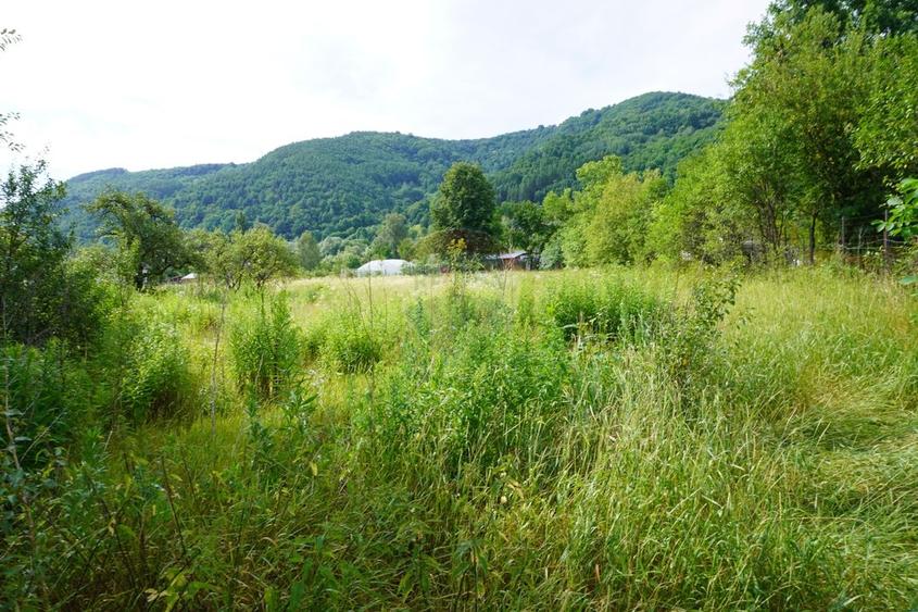 Teren Construcții intravilan de 2785 mp, în Central
