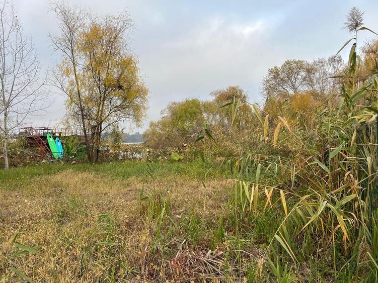 Teren Construcții intravilan de 8000 mp, în Ghermănești