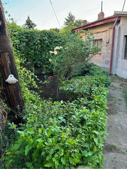 Teren de vanzare Baneasa Dobrogeanu Gherea Intrarea Ruginita 610 mp zona exclusivista - 5