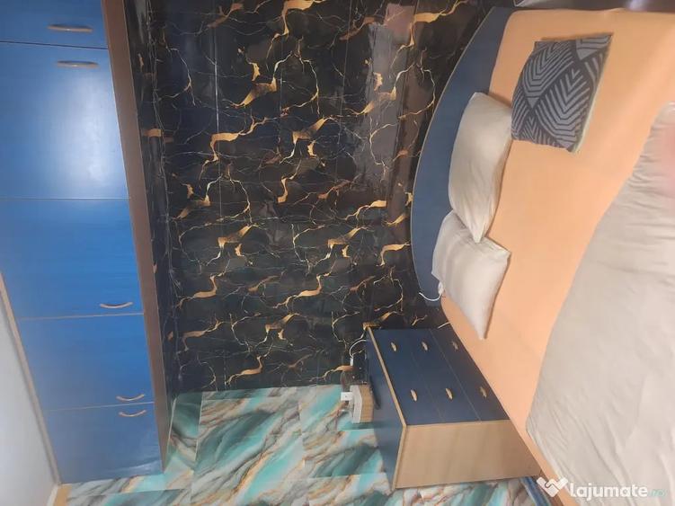 Apartament cu 2 camere decomandat în Turnișor