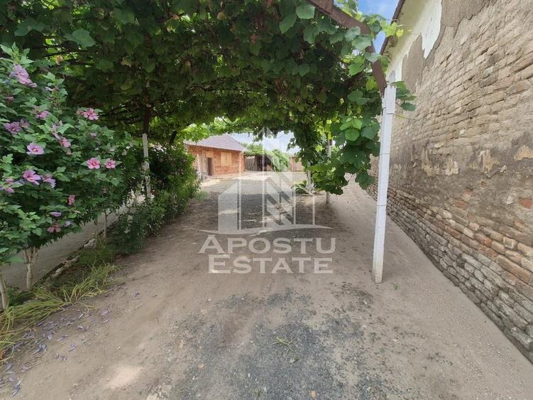 Se vinde casa in Teremia Mare, renovata, teren generos de 1.439 mp - 15