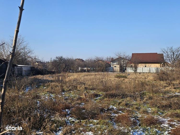 Teren de 1362 mp, în Șerbănești