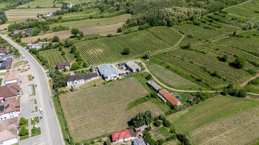 Teren agricol intravilan de 600000 mp, în Gușoeni