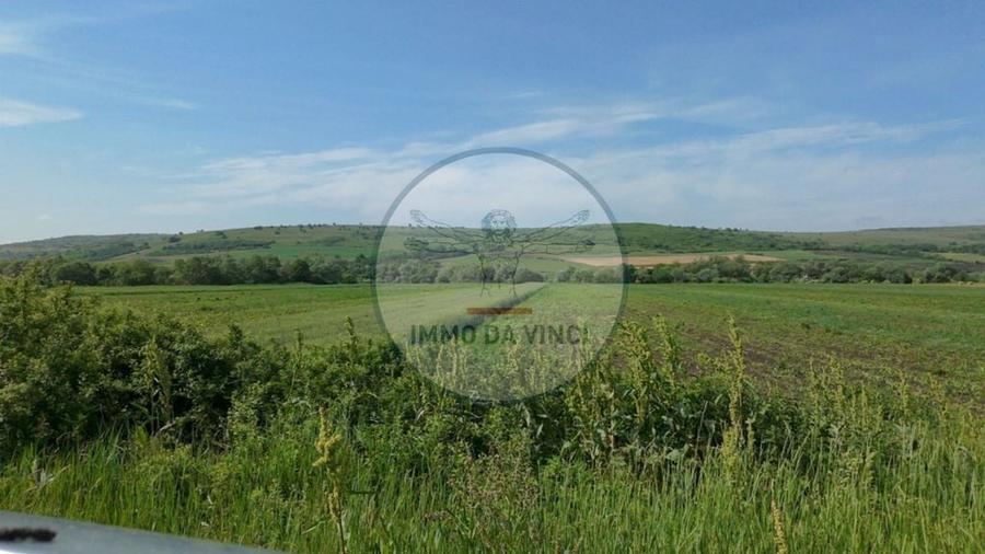 Teren de 10670 mp, în Borșa