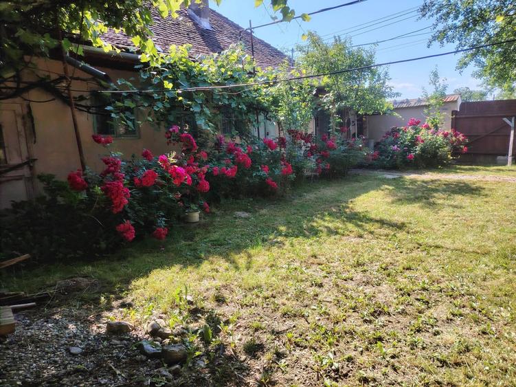 Casă cu 4 camere în Copăcel