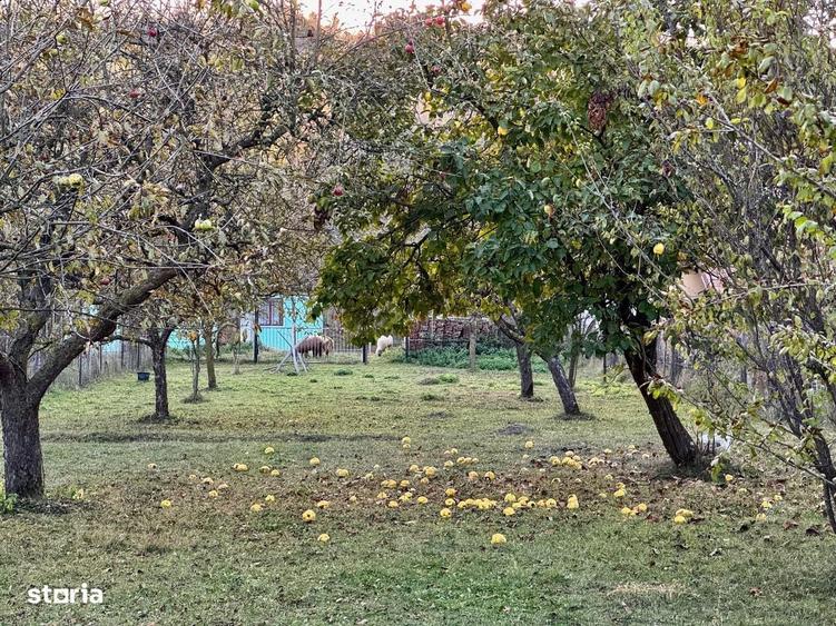 Casă cu 4 camere în Aluniș