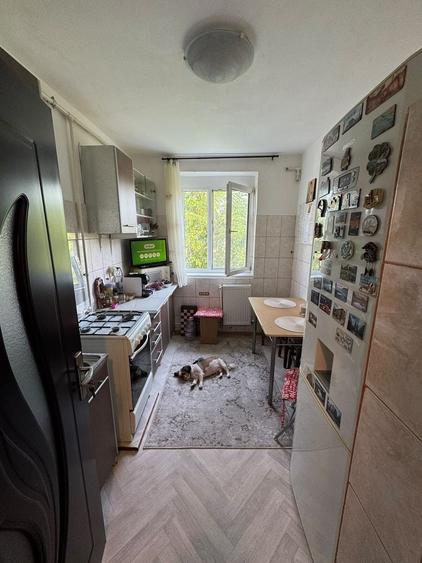 Apartament 2 camerede vânzare- zona Brotacei - 5
