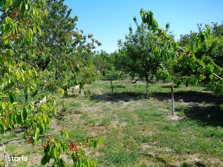 Casă cu 3 camere în Turnu